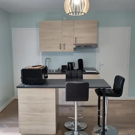 Appartement Refait A Neuf Pour 3 Personnes Avec Wi-Fi Vic-sur-Cère Exterior foto